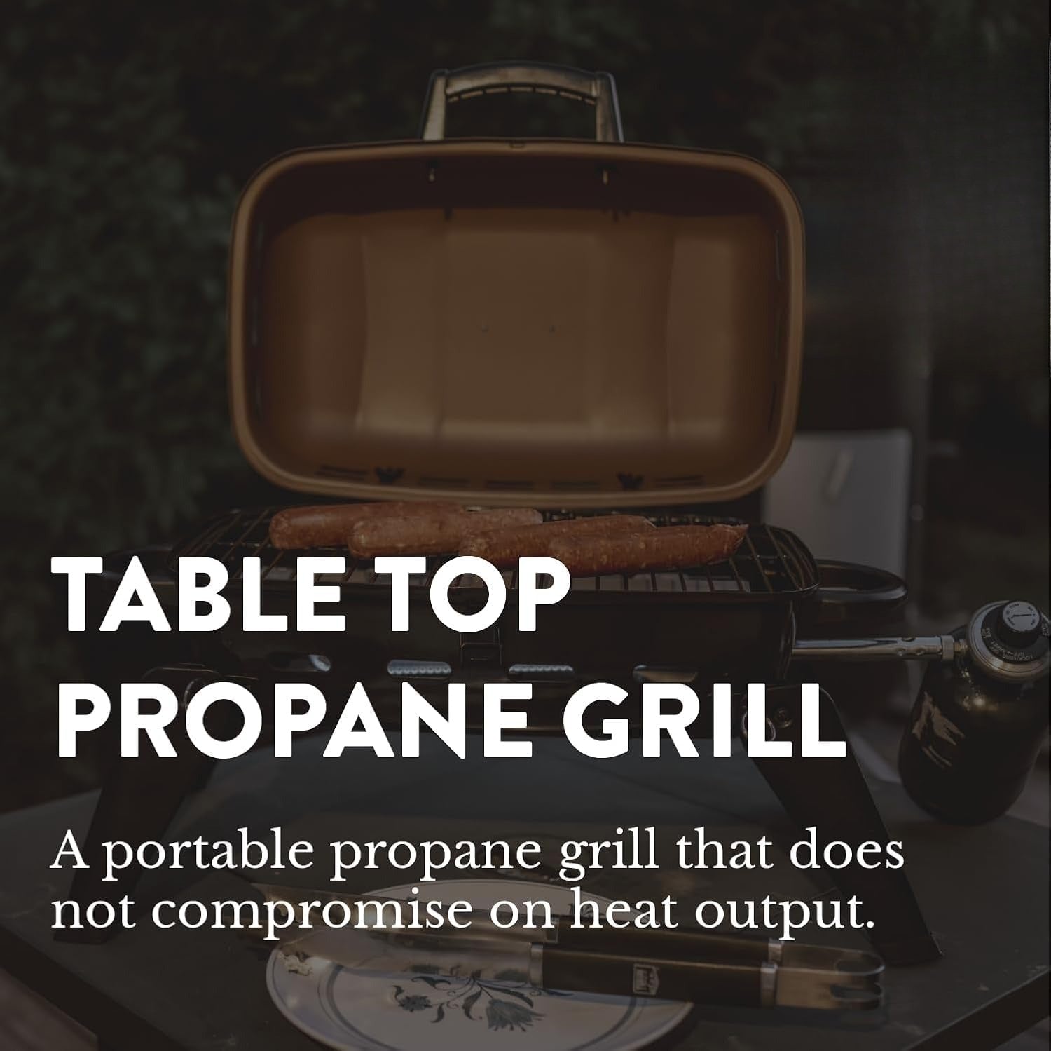 Tabletop Portable Propane Grill