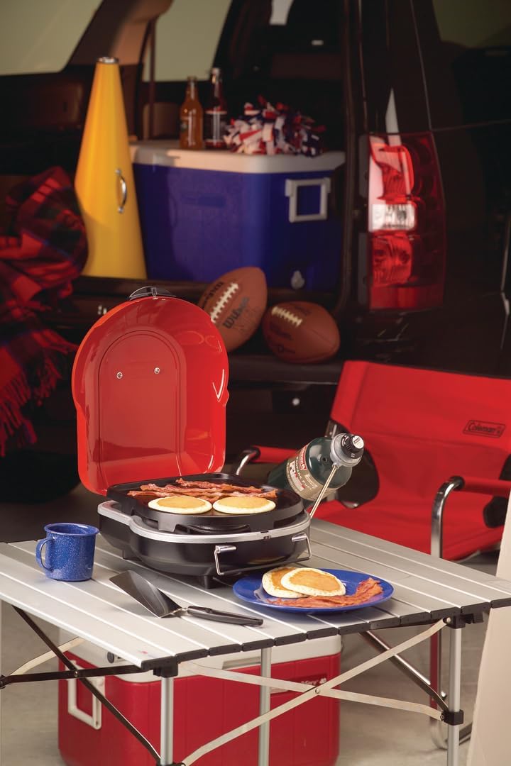 Lightweight Portable Propane Grill