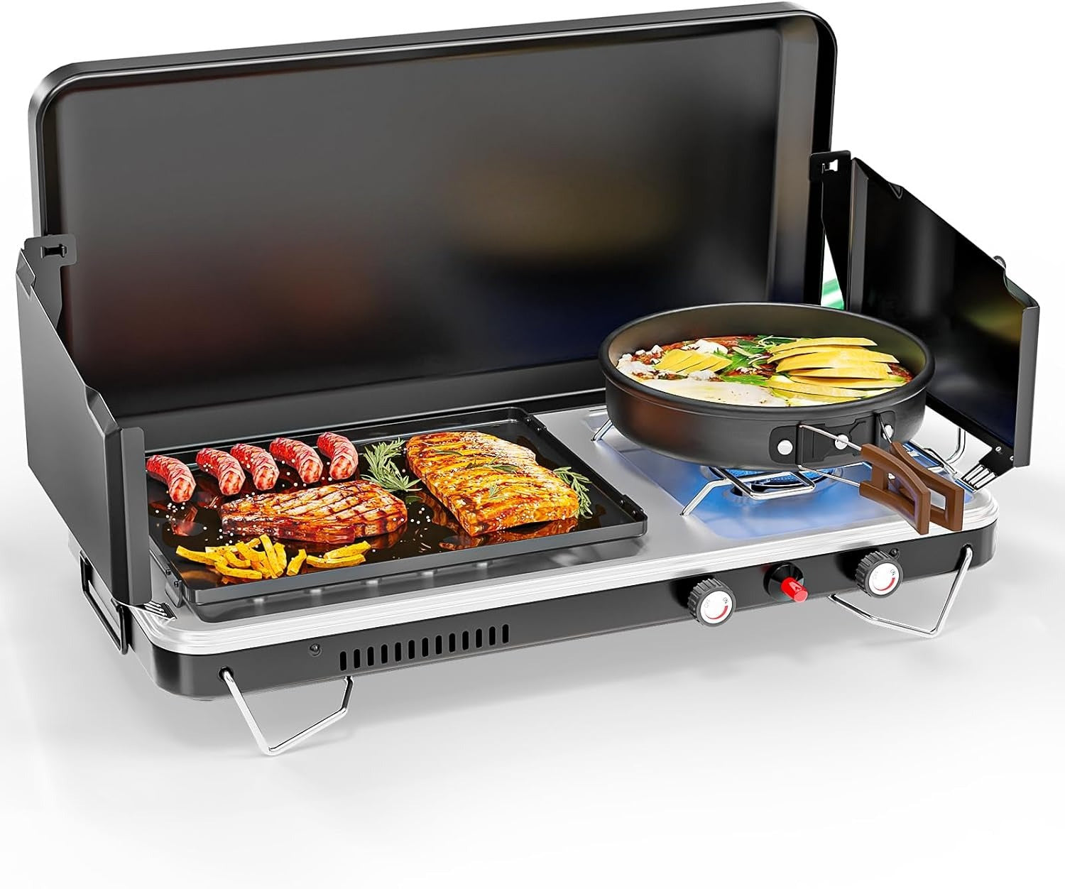 2-in-1 Portable Propane Grill