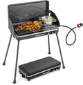 2-in-1 Portable Propane Grill