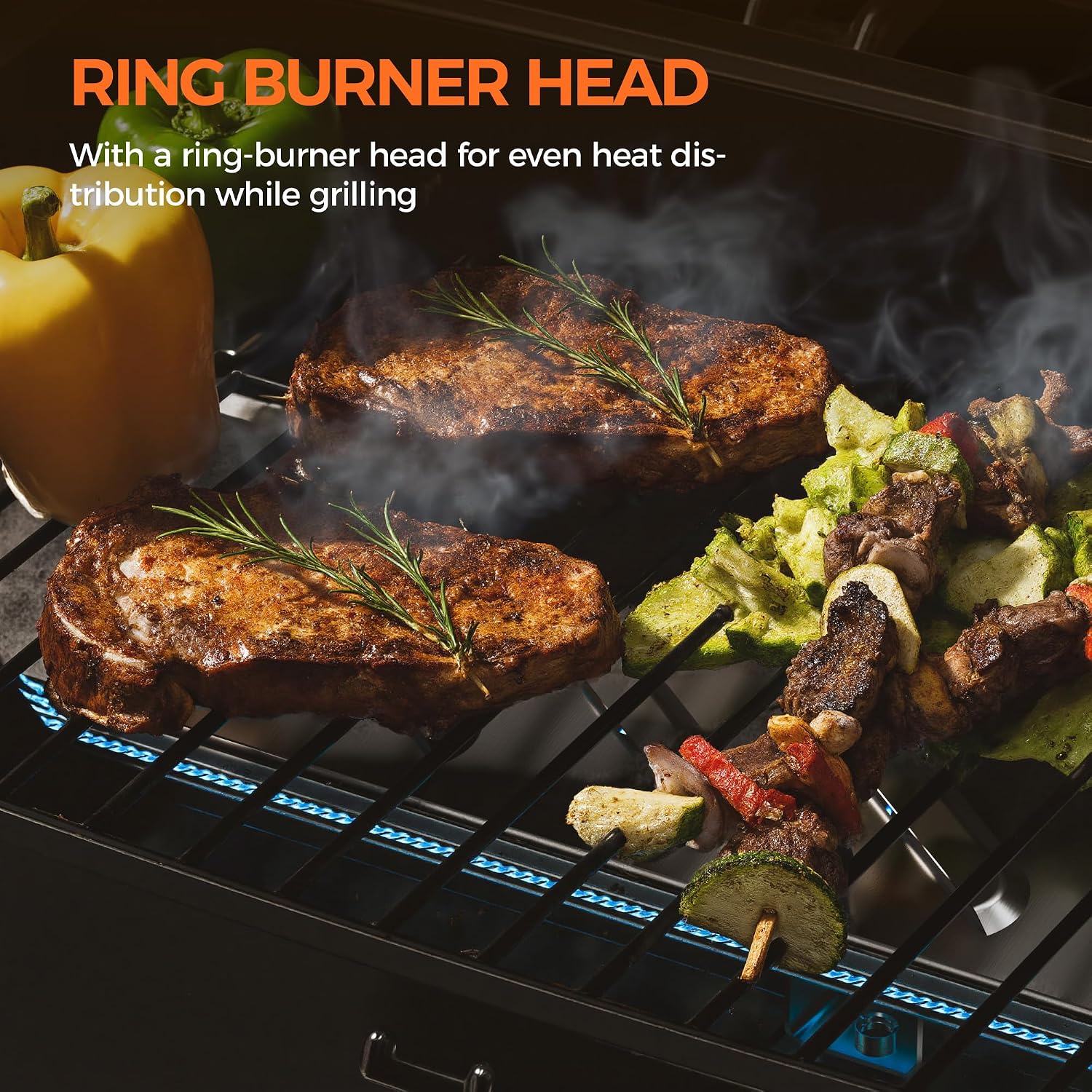 Portable Tabletop Propane Grill
