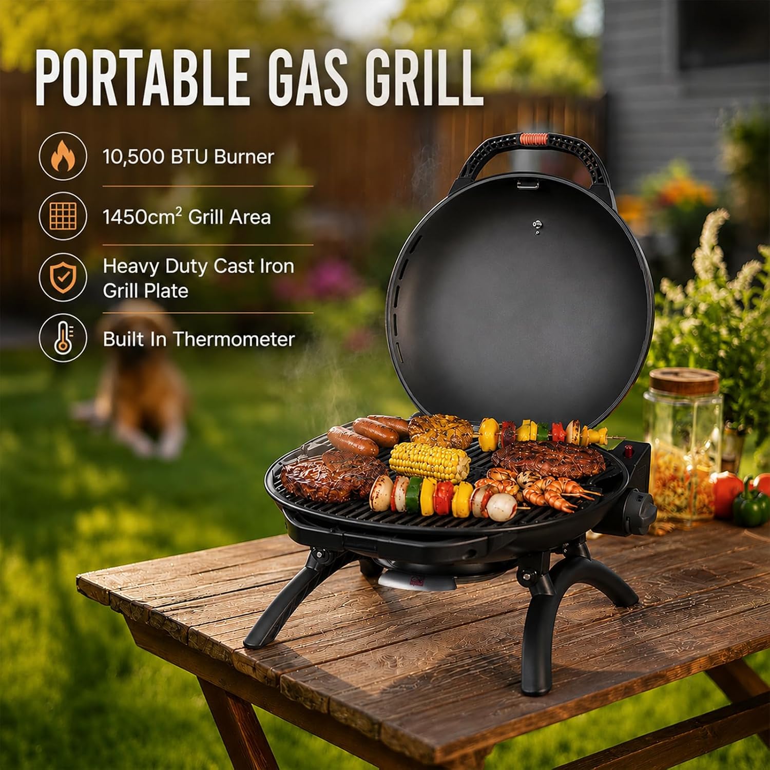 Tabletop Portable Propane Grill