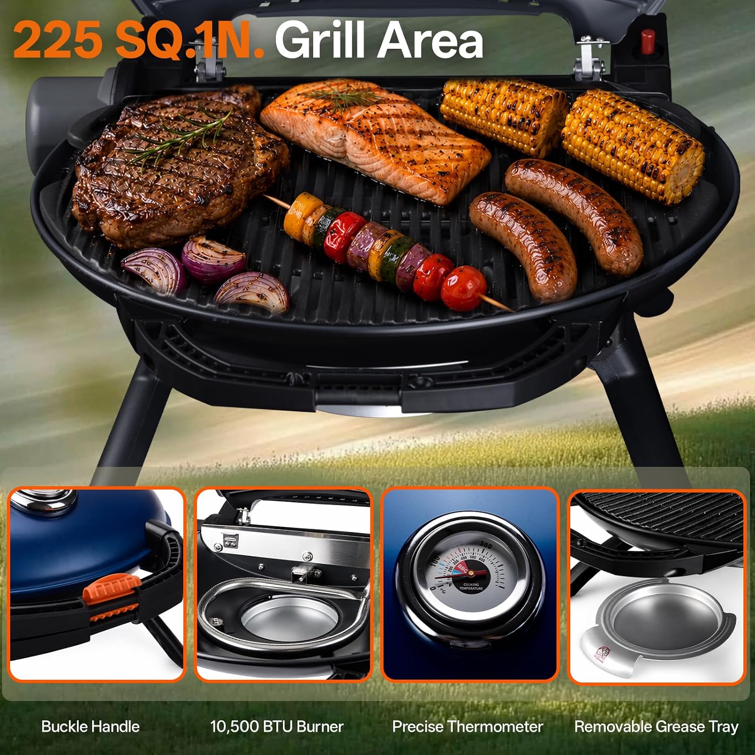 Tabletop Portable Propane Grill