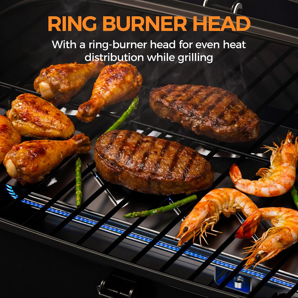 Portable Tabletop Propane Grill