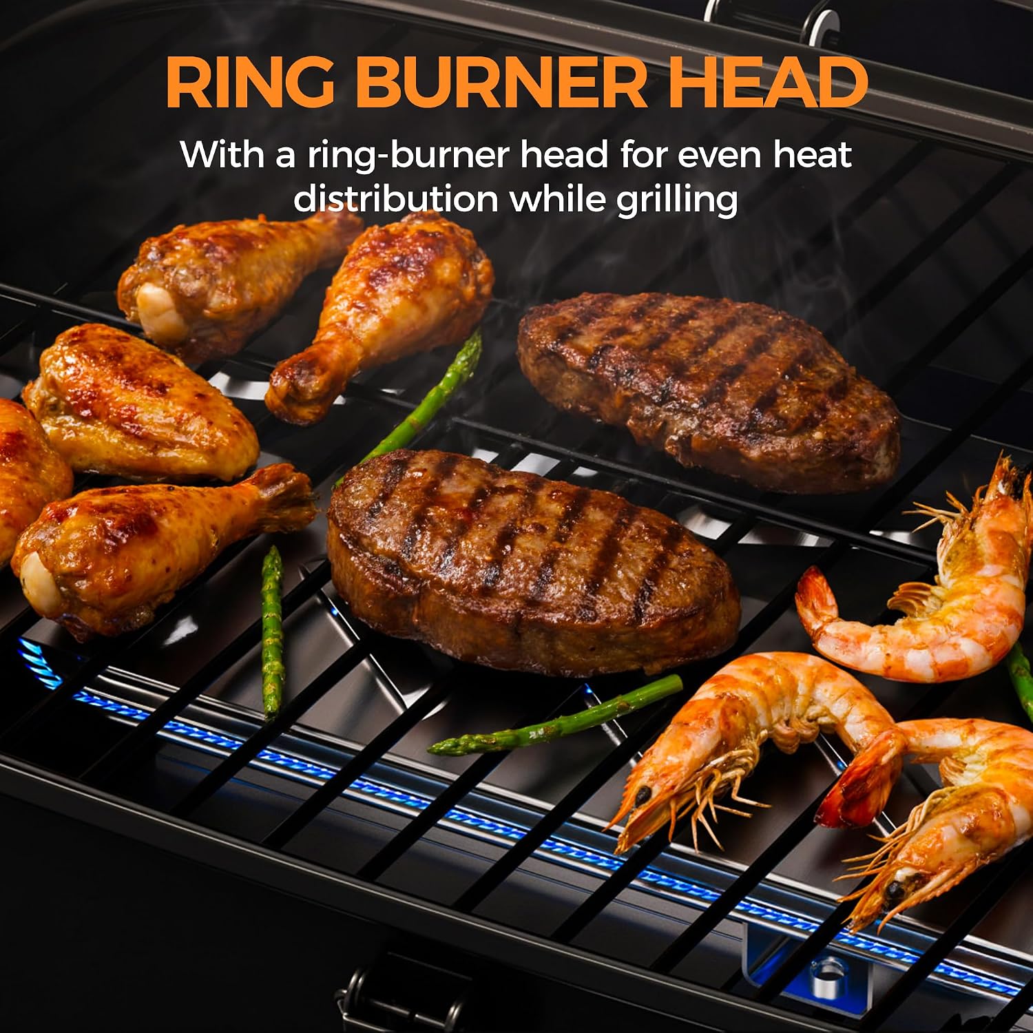 Portable Tabletop Propane Grill