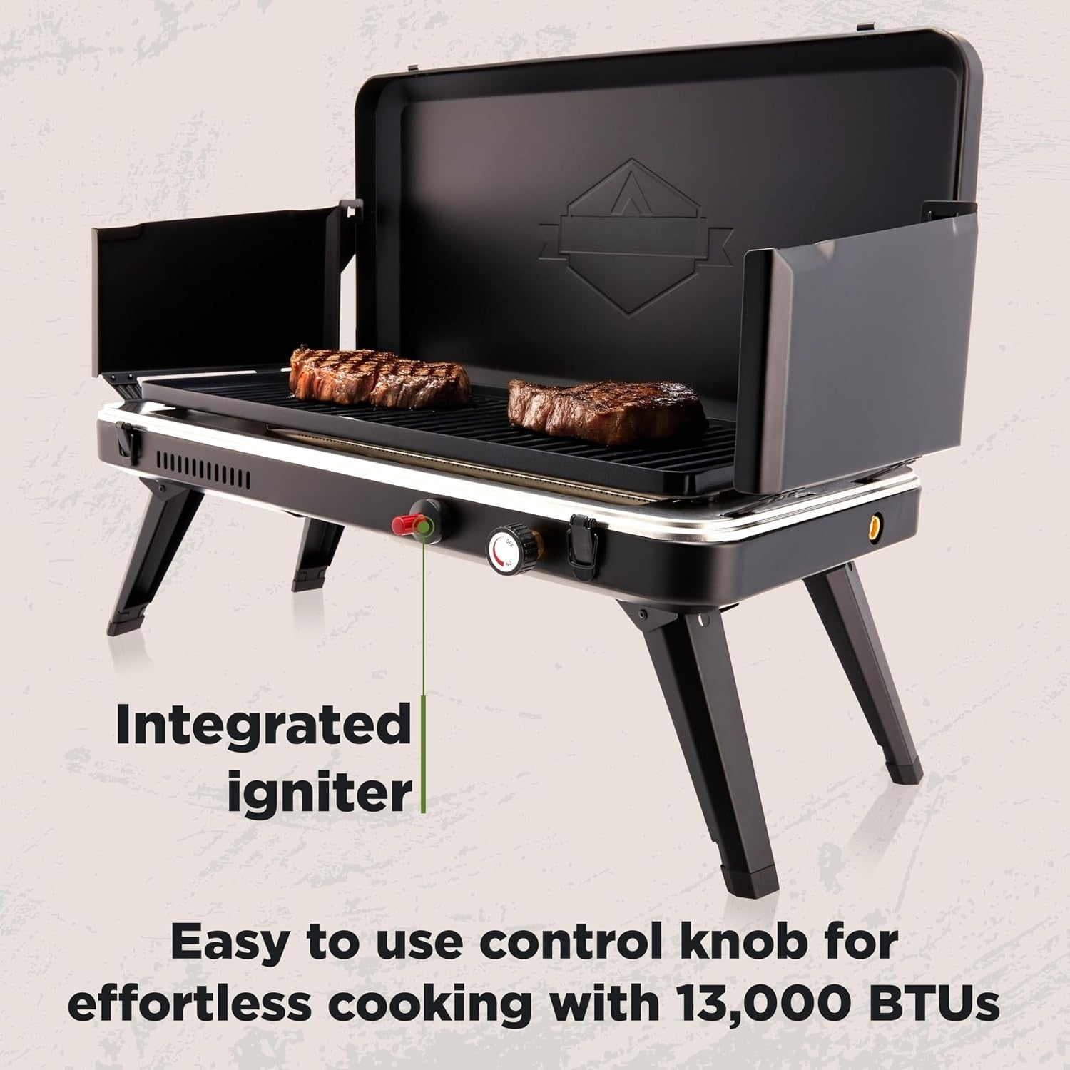 Portable Foldable Propane Grill